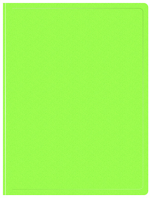 Папка 10 файлов, размер 310х230х25мм, толщина 700 мкр, "Бюрократ "Double Neon" с торцевым карманом, цвет салатовый