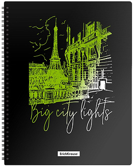 Папка  40 файлов, размер 315х245х10мм, толщина 500 мкр, ErichKrause Night Lights, на спирали, черный/зеленый,из высококачественного пластика с текстурой поверхности "песок",