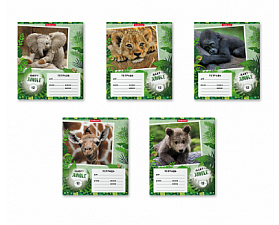 Тетрадь 12 листов А5 в линейку с полями "Baby Jungle", обложка мелованный картон, ErichKrause, 5 дизайнов
